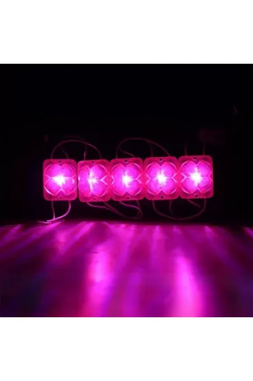 Powermaster Pm-14716 12 Volt 2 Watt Pembe Yanıp Sönen Çakar 4333-3030 Modül Led 43x33x28mm Powermaster Pm-14716 12 Volt 2 Watt Pembe Yanıp Sönen Çakar 4333-3030 Modül Led 43x33x28mm