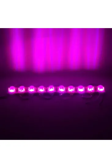 Powermaster Pembe 24 Volt 1.4 Watt 2835 Modül Led 48*30 Powermaster Pembe 24 Volt 1.4 Watt 2835 Modül Led 48*30